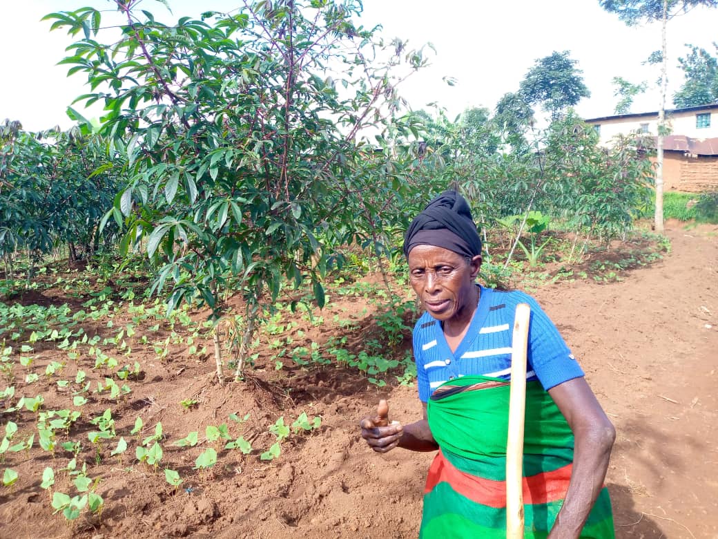 Mukantagara Marie Thérèse akoresha amafaranga avana mu itsinda mu buhinzi bwa kijyambere