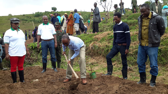 Musabyimana Innocent, Umunyamabanga Uhoraho muri MINAGRI, atera igiti cya Macadamia.