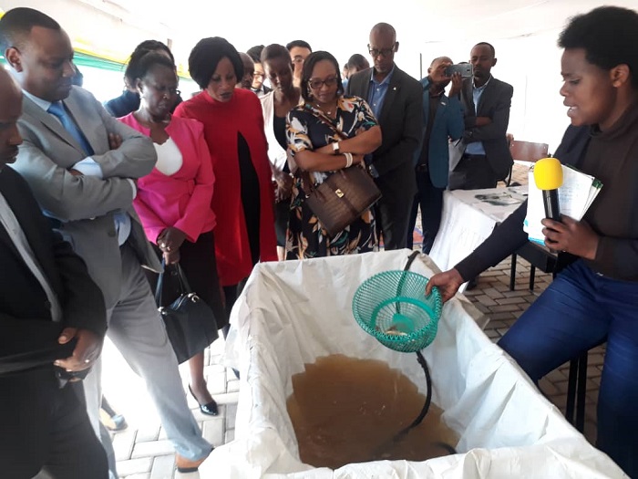 Musabyimana agaragaza uburyo ubworozi bw'amafi burimo inyungu z'akayabo