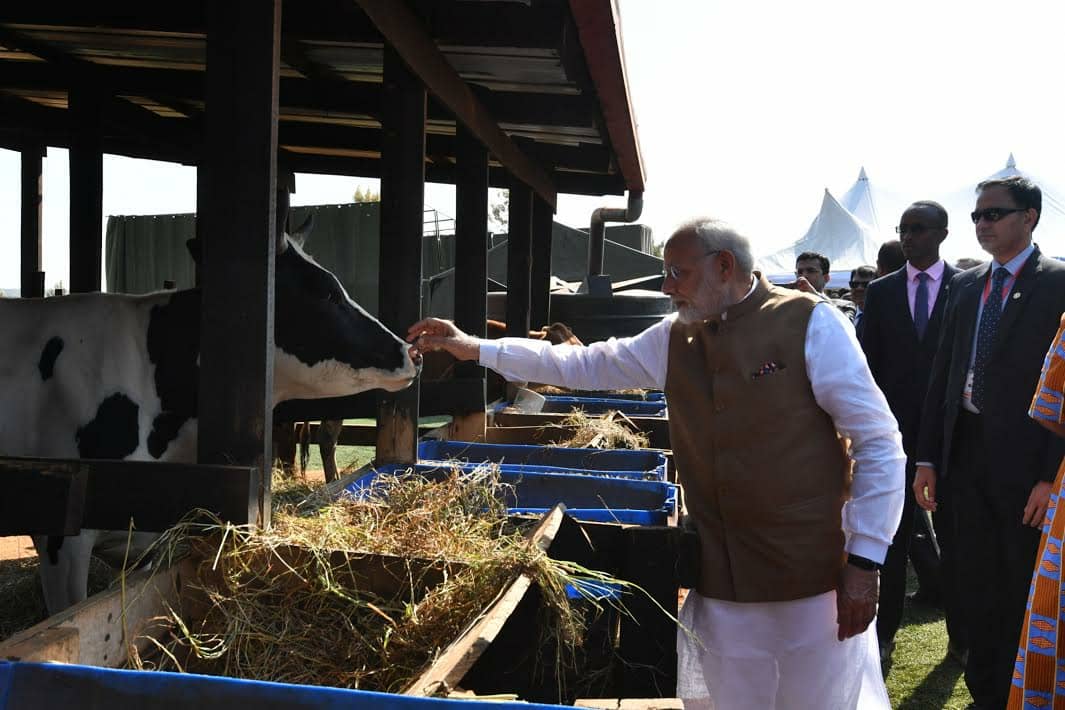 Narendra Modi mu muhango wo gushyikiriza inka abaturage