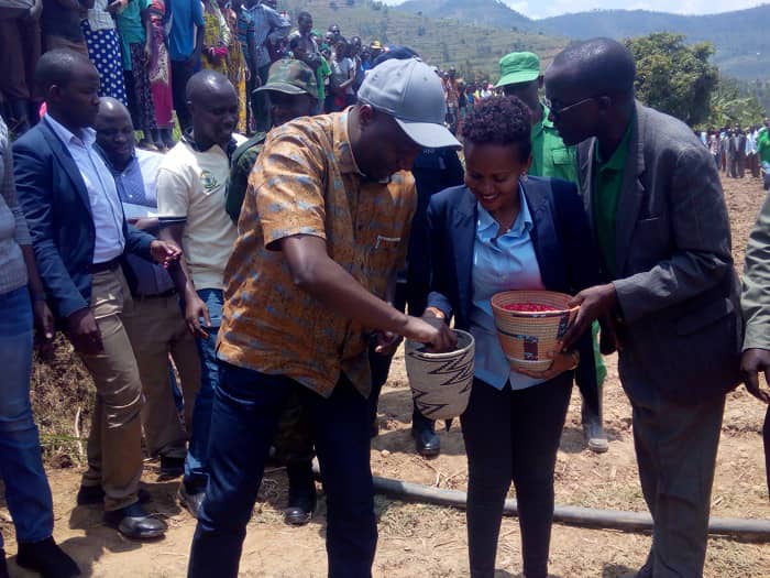 Gutangiza igihembwe cy'ihinga byabereye mu Karere ka Rulindo mu Ntara y'Amajyaruguru