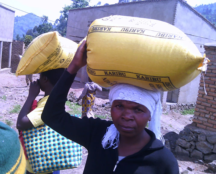 Hari n'abafata ibro 50 by'umuceli bitewe n'uko bagiye bizigamira mu ishyirahamwe.