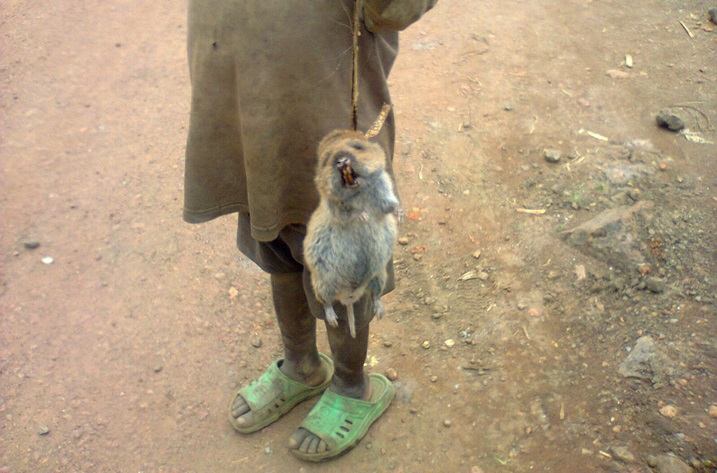 Ngo bamwe mu babyeyi bahugira mu gushaka imibereho gusa ntibite ku isuku y'abana babo n'iyo mu ngozabo.