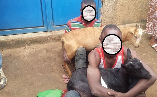 Abakekwaho ubujura bavuga ko babanza kumenya imikorere y
