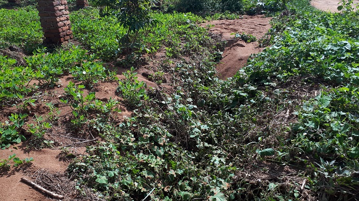 Umurwanyasuri wahanzwe na Kabera waruzuye umuvu ukomereza mu nzu akodesha Tubura