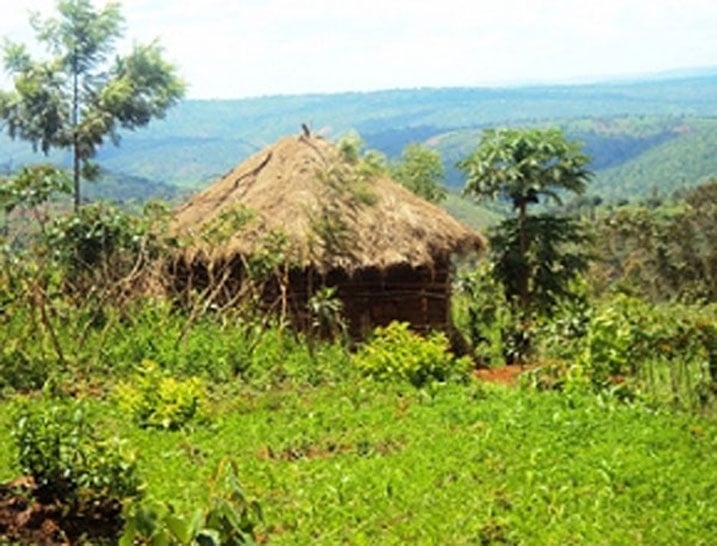 Nyakatsi zagiye gucika bigoranye, kuko uretse ubukene hari n'abari bafite imyumvire igoranye yo kuzivamo.