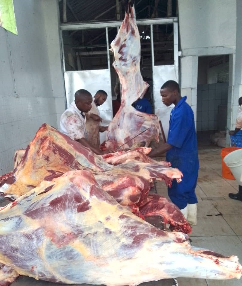 Mu ibagiro ry'inka riri mu Gataraga habagiwe inka zibarirwa muri 40 z'abibumbiye mu matsinda