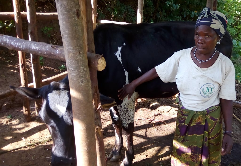 Nyirajyambere Beatrice wahawe inka na Kivu Watt avuga ko atari yarigeze atunga none ikaba imaze no kumubyarira.