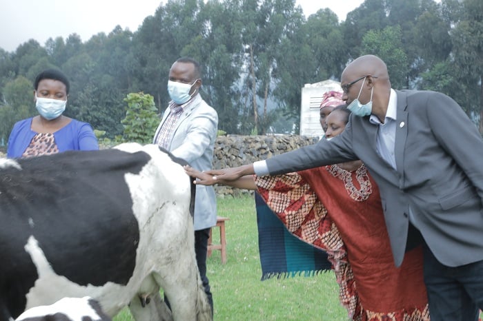 Dr Justin Kabera, Laurence Ingabire, na Jean Pierre Samvura bashyikiriza Nyiramagori inka yashumbushijwe n'abakozi ba RFL