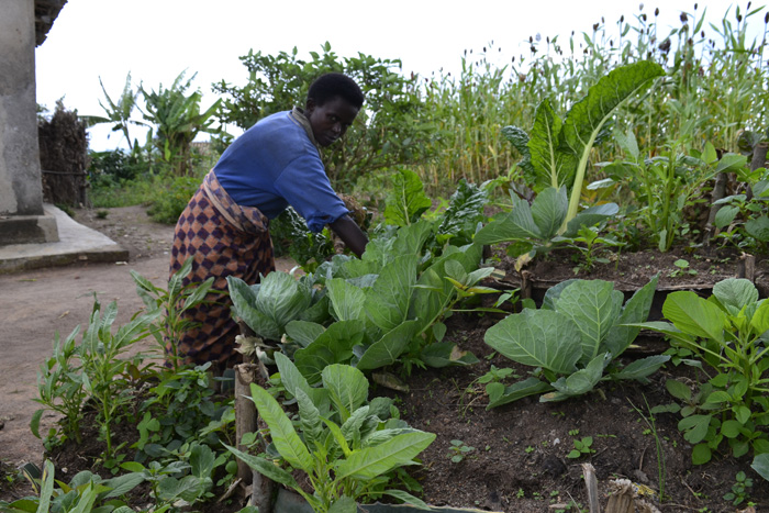 Nyiraneza wubakiwe akarima k'igikoni avuga ko yajyaga ateka imboga ari uko avuye kuzisaba