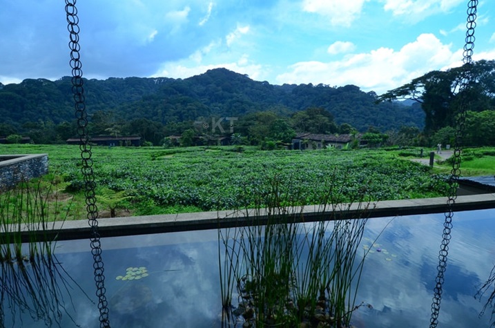 Uretse kuba umutungo kamere, ishyamba rya Nyungwe ririmo n'ibyiza nyaburanga nk'amahoteli bigomba kubungwabungwa (Photo: Plaisir M)