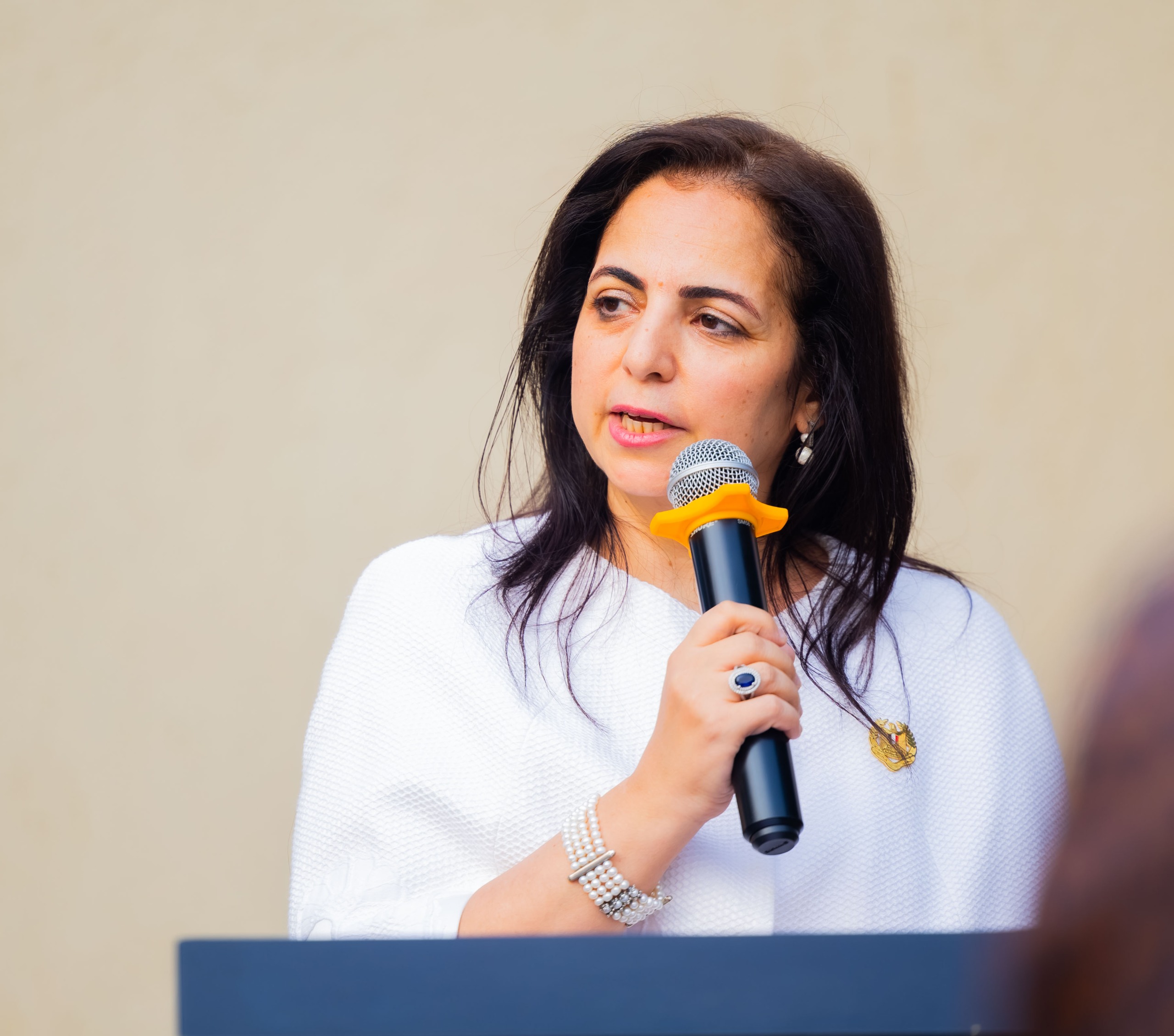 Ambasaderi wa Misiri mu Rwanda, Nermine El Zawahry