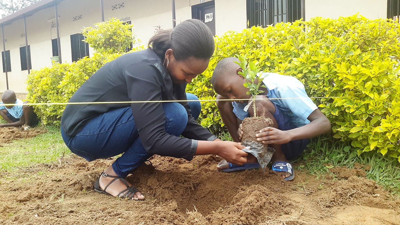 Umuryango ADRRES watangiye gufasha abanyeshuri gutera ibiti