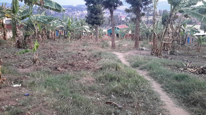 Mu kwezi kwa cyenda abahinzi babaga baramaze gushyira imbuto mu butaka, ariko ubu hari n'abataratangira guhinga.