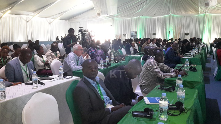 I Kigali hateraniye inama ibanziriza ‘kwita izina', yiga ku kubungabunga urusobe rw'ibinyabuzima.