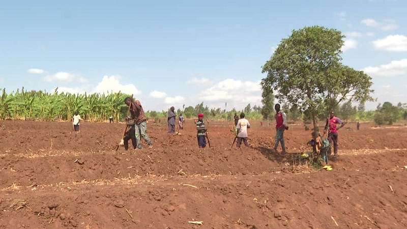 Bishimiye akazi bahawe kabinjiriza amafaranga