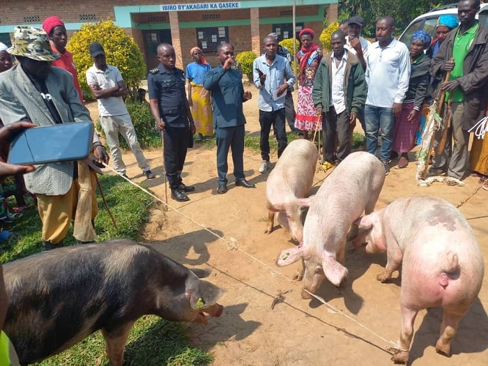 Abaturage basabwe kubyaza umusaruro amatungo bahawe