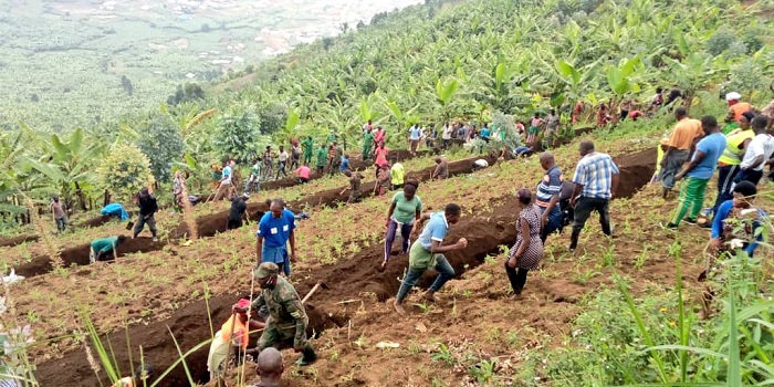 Abaturage batangiye kurwanya isuri ku musozi wa Rubavu