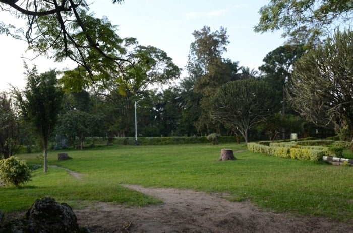 Hari ahatewe ibyatsi