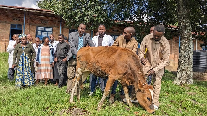 Mwarimu Rukundo Janvier(Hagati wambaye umweru) ubwo yashyikirizwaga inka yagabiwe na bagenzi be