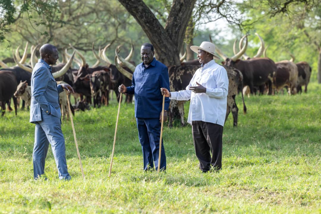 Perezida Museveni yagaragaye aganira na William Ruto na Raila Odinga bari basanzwe badacana uwaka