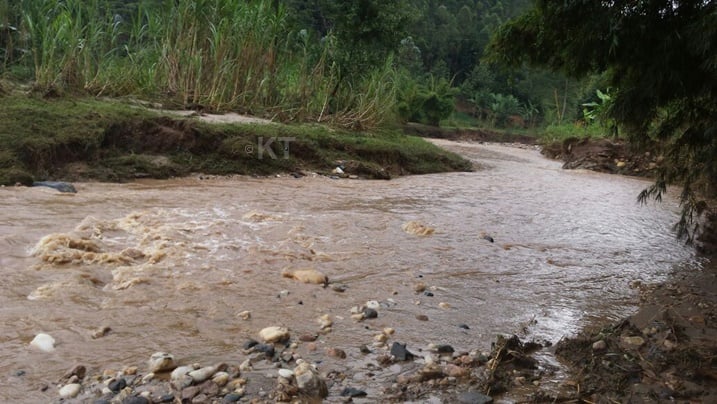 Uyu mugezi wa "Koko" muri Rutsiro uzwiho kuba warajugunywemo Abatutsi benshi mu gihe cya Jenoside yabakorewe mu mwaka wa 1994. Hambere ngo wagiraga amazi menshi cyane, nubwo ubu agenda agabanuka.