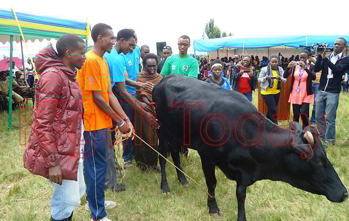 Kamuyumbo wagabiwe inka.