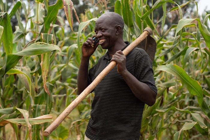 Telefone zigendanwa zafashije abahinzi kumenya amakuru bituma bahingira igihe