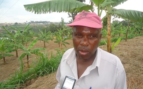 Buturano Celestin mbere yezaga ibitoki bifite amaseri 3 ariko ubu yeza ibifite amasera 15 kubera guhinga kijyambere.