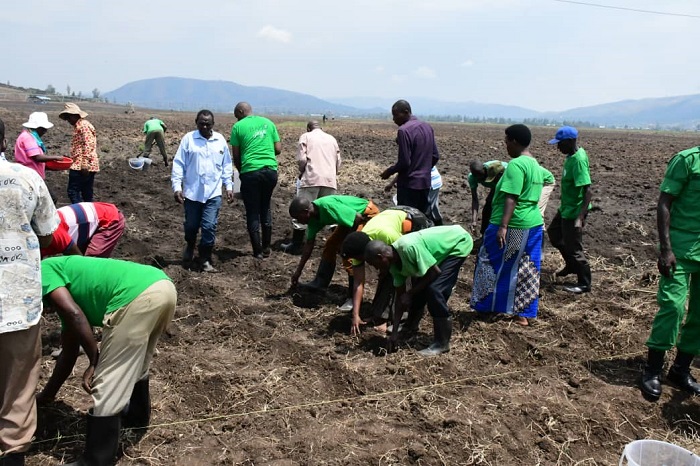 Biteze umusaruro mwinshi kuko basigaye bicururiza inyongeramusaruro 