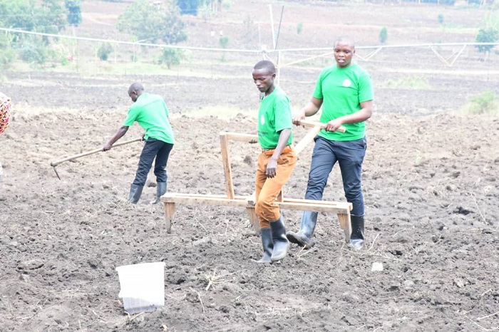 Igiti kifashishwa mu guca imirongo y'ibigori kugira ngo intera zingane