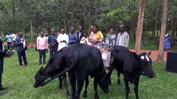 Abantu bafite ubumuga batatu borojwe inka