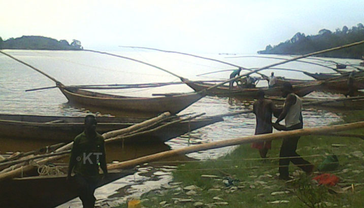 Uburobyi mu Kivu bwongeye gufungura