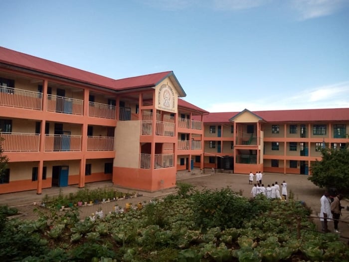 Ubusitani bwa Wisdom School babuhinzemo ibiribwa