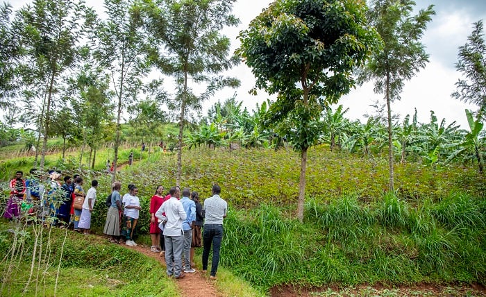 RNADW yaguze ubutaka bazajya bakuramo ubwatsi bw