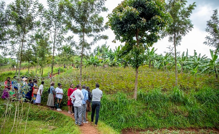 RNADW yaguze ubutaka bazajya bakuramo ubwatsi bw'ihene