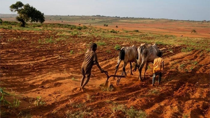 Ubutaka bwarumagaye kuko hashize imyaka ine nta mvura ihagwa