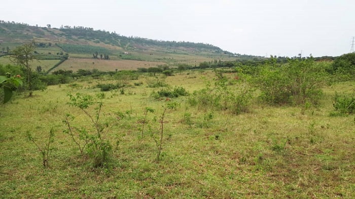 Ubutaka budafite abo bwanditseho Leta yabaye ibwisubije by'agateganyo