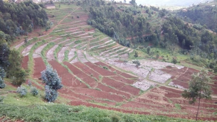 Ubuyobozi buvuga ko abakoresha ishwagara kenshi ari abahinzi bafite ubuso bunini