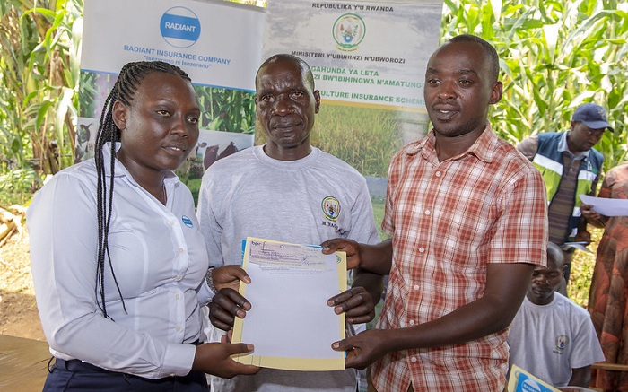 Abishingiye ibihingwa byabo batangiye kwishyurwa (Ifoto: MINAGRI)