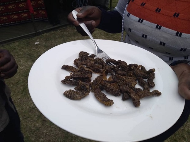 Amafunguro ya Zambia na Botswana