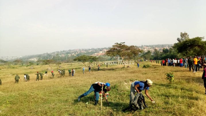 Nyandungu hakorewe umuganda mu gice kizubakwamo ubusitani bwa Eco Park. 