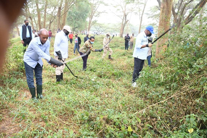 Bakoze isuku ku nkengero z'Umuvumba, umuganda wanitabiriwe n'Abasenateri
