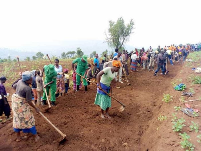 Hakozwe umuganda wo guhanga umuhanda mu mudugudu wa Gisozi