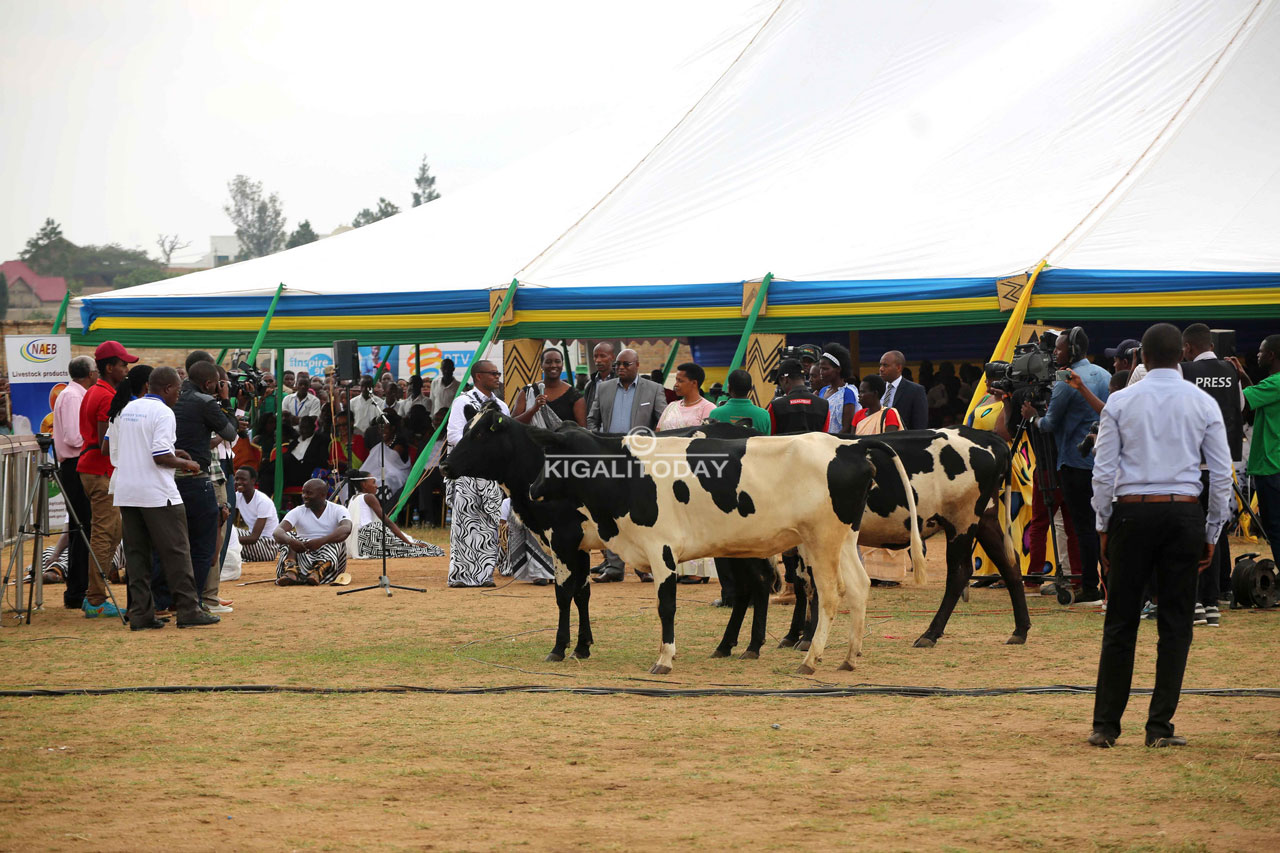 Umuganura nibyo birori bikuru bijyanye n'umuco byizihizwa mu Rwanda.