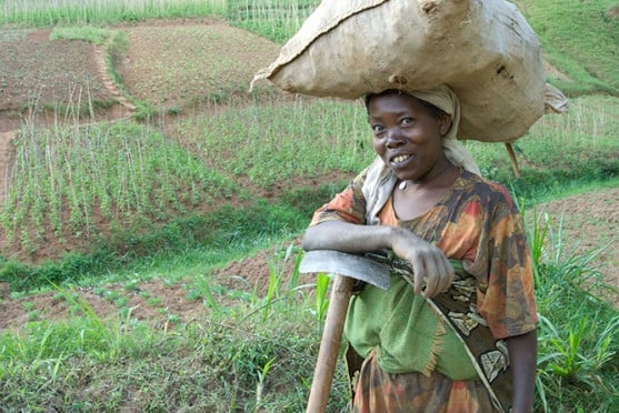 Nyuma yo guhinga, umugore ahita atangira imirimo yo mu rugo mu gihe umugabo akenshi ajya mu kabare