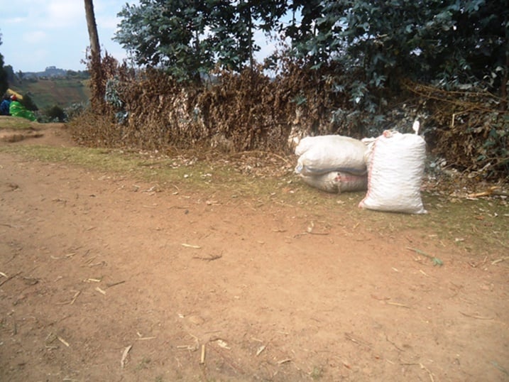 Umuhanda Rwankeri - Nyakiriba uramutse ukozwe ngo wafasha abaturage kugeza umusaruro w'ibirayi n'ingano ku masoko.
