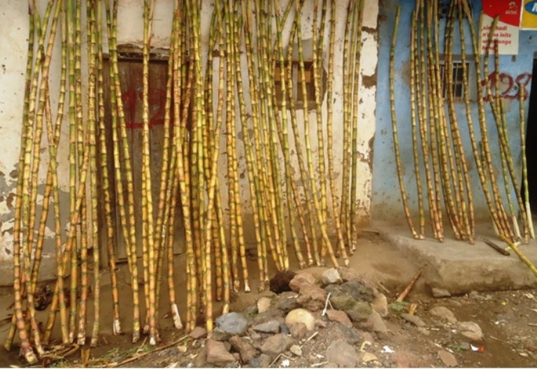 Umuhanda watumye umusaruro w'ibisheke wongera agaciro