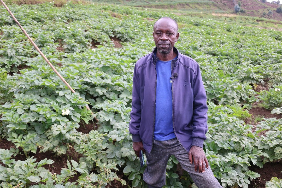 Umuyobozi wa Koperative KOABUIRU, Habimana Théoneste