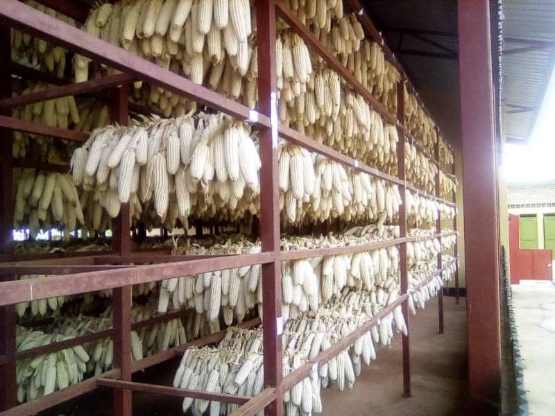 Umusaruro uzajya utunganywa utangirikiye mu bubiko